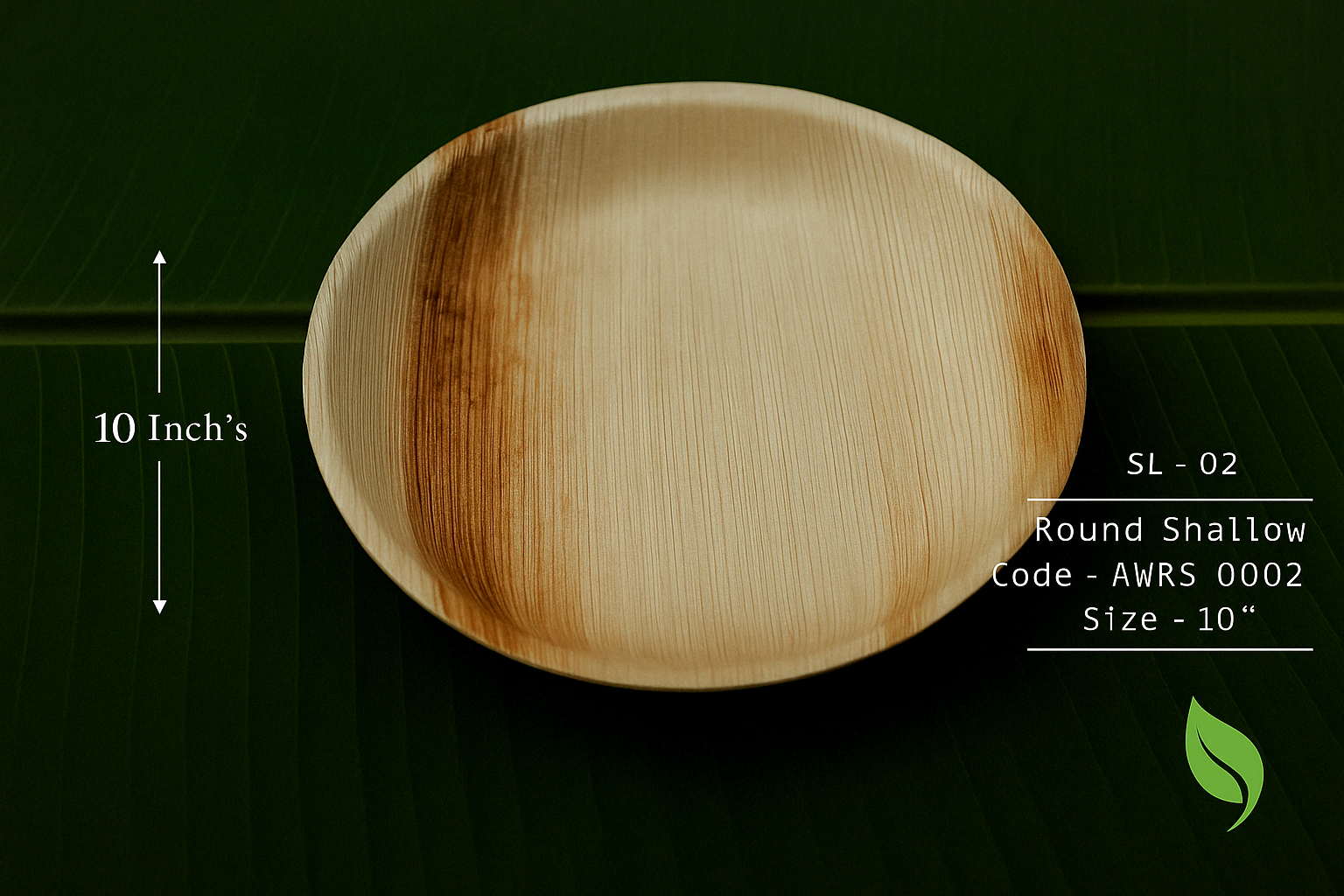 Round Shallow Plate